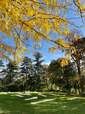 mini gilf caroussel   Copie