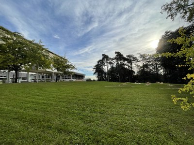 Parc de Valpré   couché de soleil