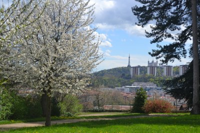 Parc vue sur fourvière 